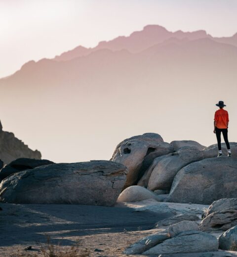 Travel Website vs Generic Business Website: What Your Agency Really Needs