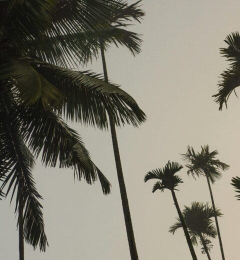 How to Optimize Tour Pages for More Organic Traffic and More Leads