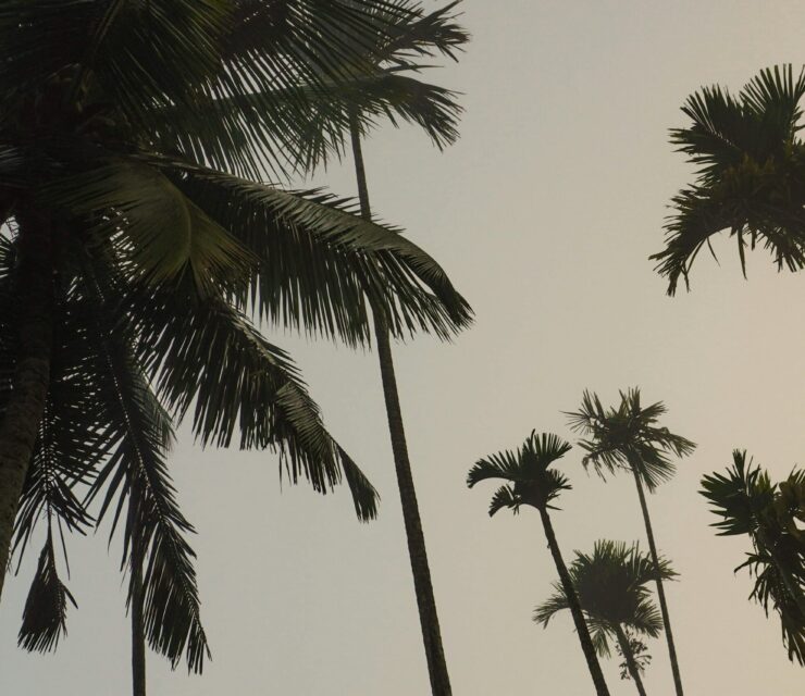 Travel Website vs Generic Business Website: What Your Agency Really Needs