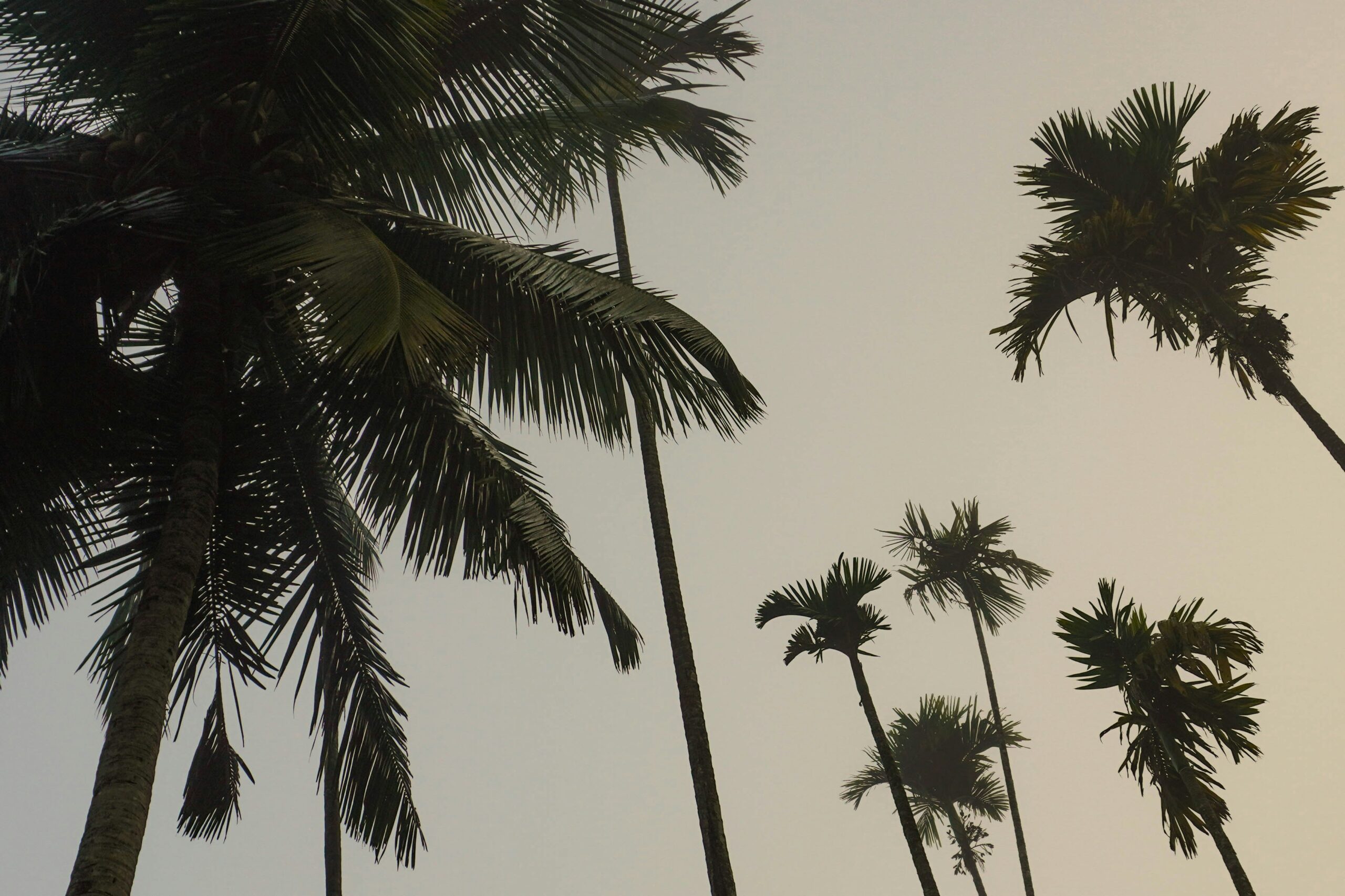 Travel Website vs Generic Business Website: What Your Agency Really Needs